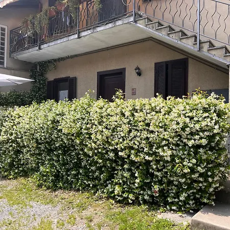 Single Il Cortile Da Manu Maggy&hope