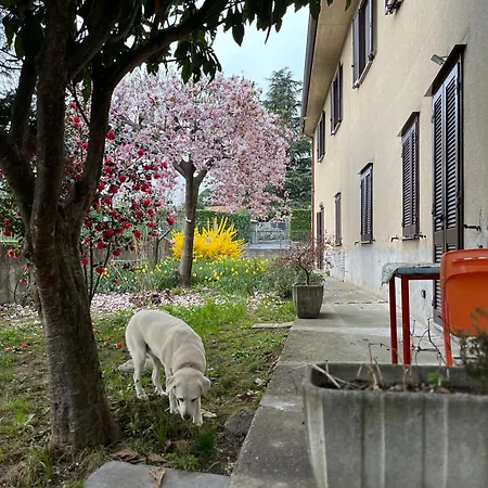 Bed & Breakfast Single Il Cortile Da Manu Maggy&hope